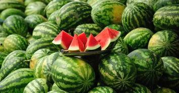 河北美术学院吃瓜网红,吃瓜网红带你领略校园美食风情